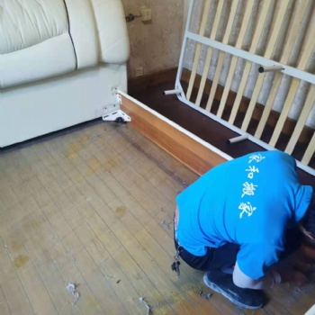 织里搬家搬厂可上门包裹