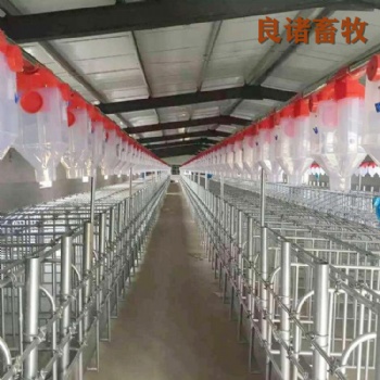 加工定制 育肥猪舍喂料设备 自动化料线 养猪自动料线 上料养猪料线