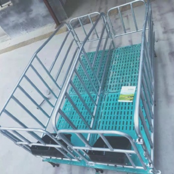 母猪限位栏 猪用复合板定位栏带槽10个一组