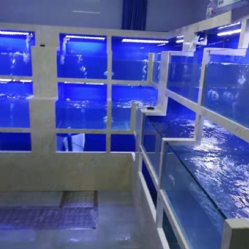 保定徐水鑫德龙水族私人订制酒店海鲜池