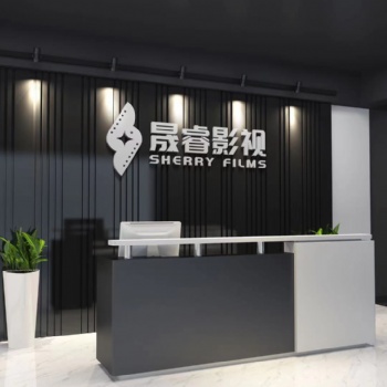 2021年武汉晟睿，婚纱摄像微电影，后期微电影制作