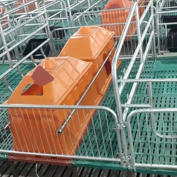 猪床养猪设备双体母猪产床母猪分娩欧式产床