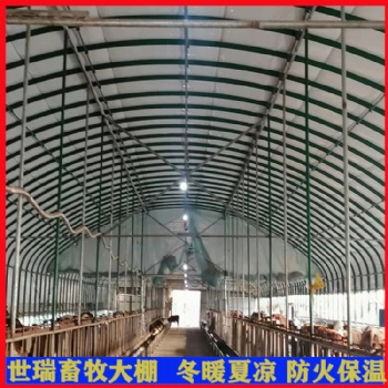定制养牛大棚 养牛场牛舍规划设计 肉牛养殖棚施工建造