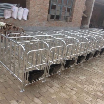 母猪定位栏猪用定位栏母猪限位栏猪用产床