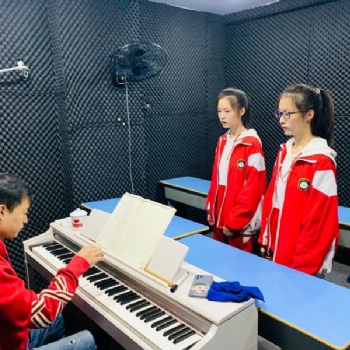 钢琴艺考培训 钢琴声乐教学 如何训练钢琴