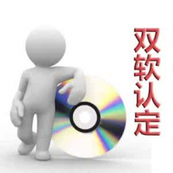 聊城申请双软的条件以及标准是什么