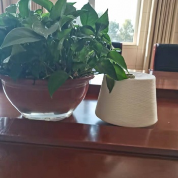 气流纺大化涤纶纱 喷水 喷气 剑杆 75织机用纱