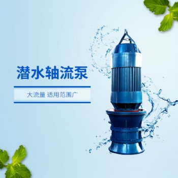 防汛泵站用1000QZB-630KW潜水轴流泵天昊泵业