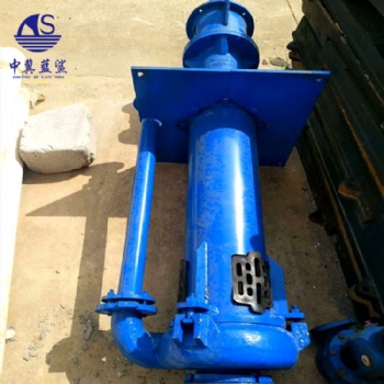 ZJL型渣浆泵立式无堵塞耐磨抽沙泵液下渣浆泵高浓度抽沙泵