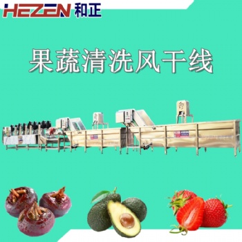 和正机械果蔬气泡清洗机 去农残蔬菜清洗流水线 火龙果连续式清洗设备