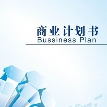 深圳项目申请报告代写