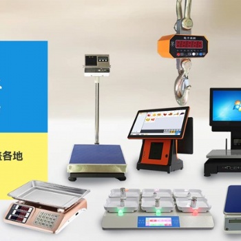 电子衡器（电子秤、汽车衡、分析天平）及仪器仪表