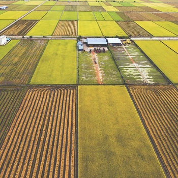 农村土地综合整治规划