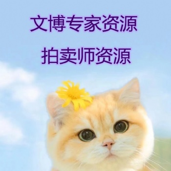 拍卖公司转让，拍卖公司注册，拍卖师