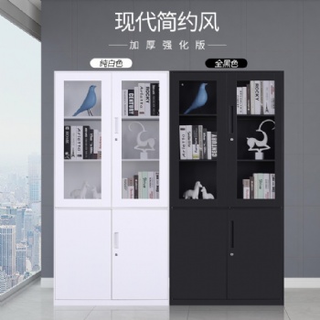 石家庄文件柜薄边对开门柜尺寸