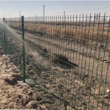 现货批发 公路围栏网 护林圈山可用铁丝网 园林绿化隔离网