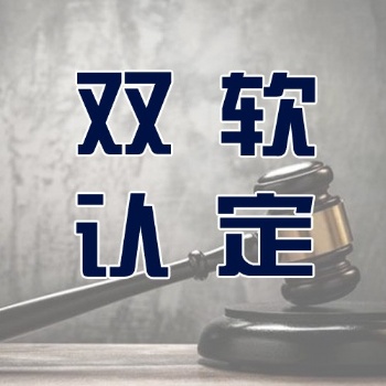 青岛软件企业认定办理需要的材料