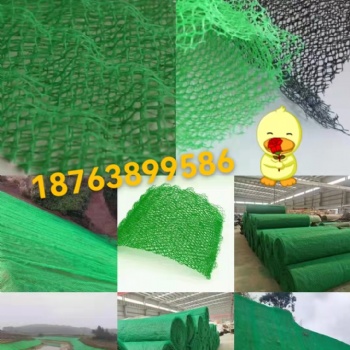 三维植被网护坡盖土植草