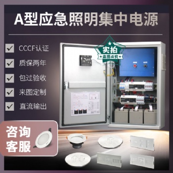 EPS消防a型应急照明集中电源控制器灯具配电箱集控控制型电源箱
