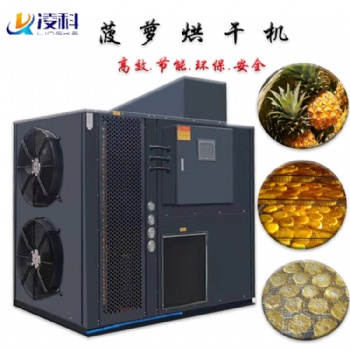 菠萝烘干机家用干燥设备节能