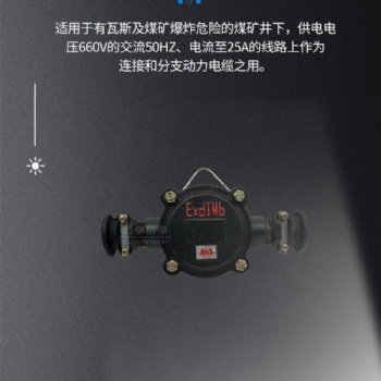 益煤矿用隔爆型低压电缆接线盒BHD2-40/660(380)-2T防爆接线盒