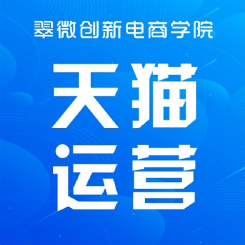 坂田雪象淘宝开店运营培训，电商网上开店推广技巧