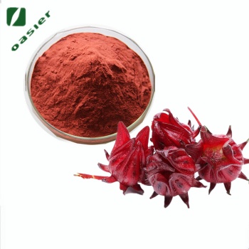 欧泽生物 现货供应 玫瑰茄**10％原花青素 洛神花**