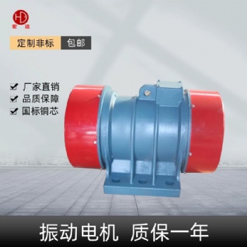 山东招远TZD-51-6C三相380v振动电机厂家