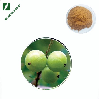 欧泽生物 西印度醋栗** 西印度醋栗粉 1.5 ％ VC 5％多酚