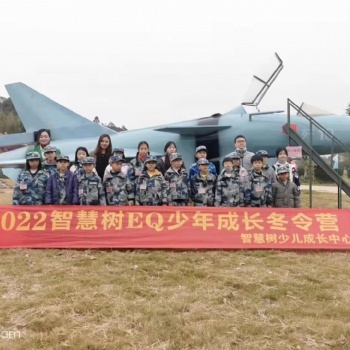 武装直升机模型 弘讯模型一比一铁艺仿真军事模型