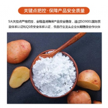 抗性淀粉生产厂家供应羟丙基淀粉批发价格