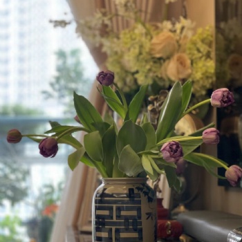 景德镇陶瓷花瓶花盆批发，青花小花瓶定制厂家