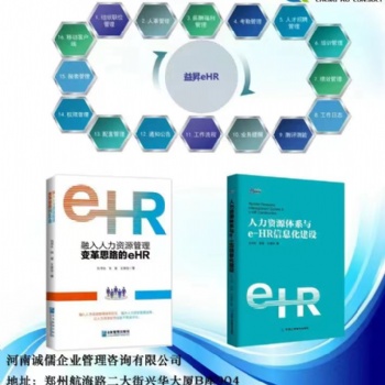 eHR人力资源绩效软件，全套IT信息软件管现实现+咨询落地