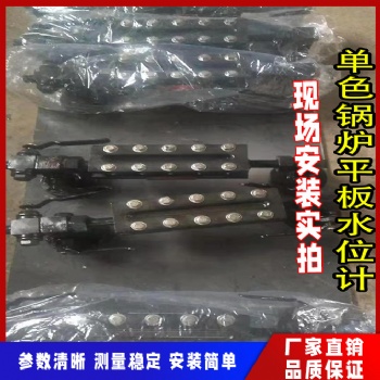 锅炉声光报警电子水位计