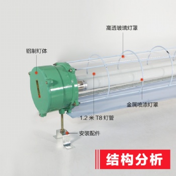 供应防爆荧光灯 无极荧光灯