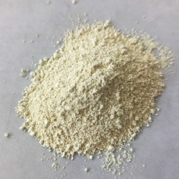用于蛋白质印记实验的化学发光试剂鲁米诺