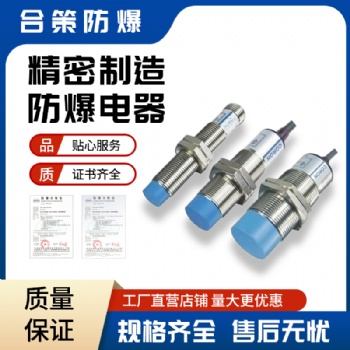 防爆接近开关BND定做