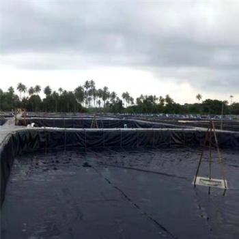 防渗膜大型垃圾填埋场固体尾矿库污水处理池防渗膜