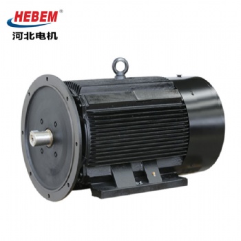 YE3-355L-6 315KW 河北电机股份有限公司三相异步电动机马达电机