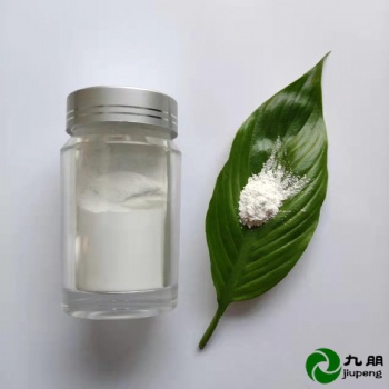 九朋抗静电粉导电材料AZO30nm氧化锌粉末CY-J30L