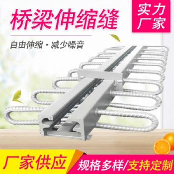 公路桥梁伸缩缝C40 60 80型毛勒缝模数式伸缩缝桥梁伸缩缝送胶条