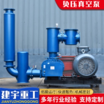 建宇重工负压真空泵小型精密大吸力
