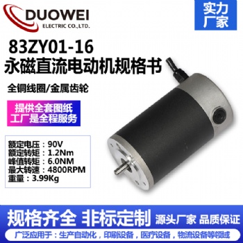 83ZY01-16永磁直流电动机
