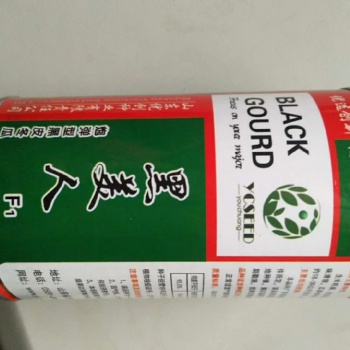 大黑皮冬瓜种子蔬菜大黑皮冬瓜种子