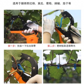 绑枝机厂家，葡萄绑枝器的常见问题
