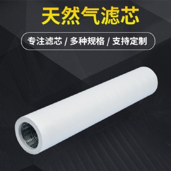 EST-50R32-1000原料气过滤分离器滤芯