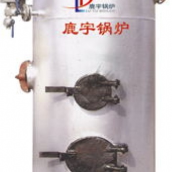 鹿宇 LSG立式燃煤蒸汽锅炉点