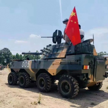 大型一比一军事模型商?