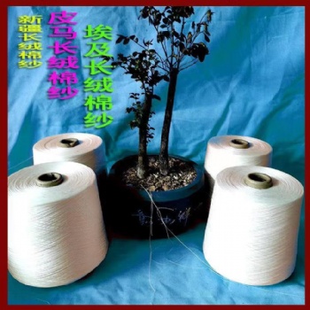 常年现货供应pima棉皮马棉纱线