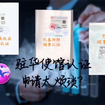 泰国投标声明领馆盖章